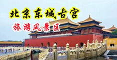 国内女人操一逼视频中国北京-东城古宫旅游风景区
